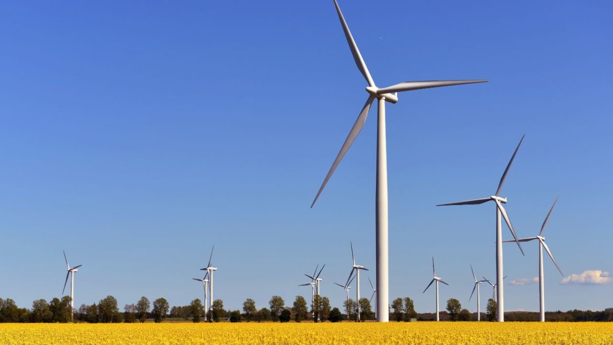 Projetos climáticos e energéticos dinamarqueses garantem DKK 3,5 bilhões do Fundo de Inovação da UE