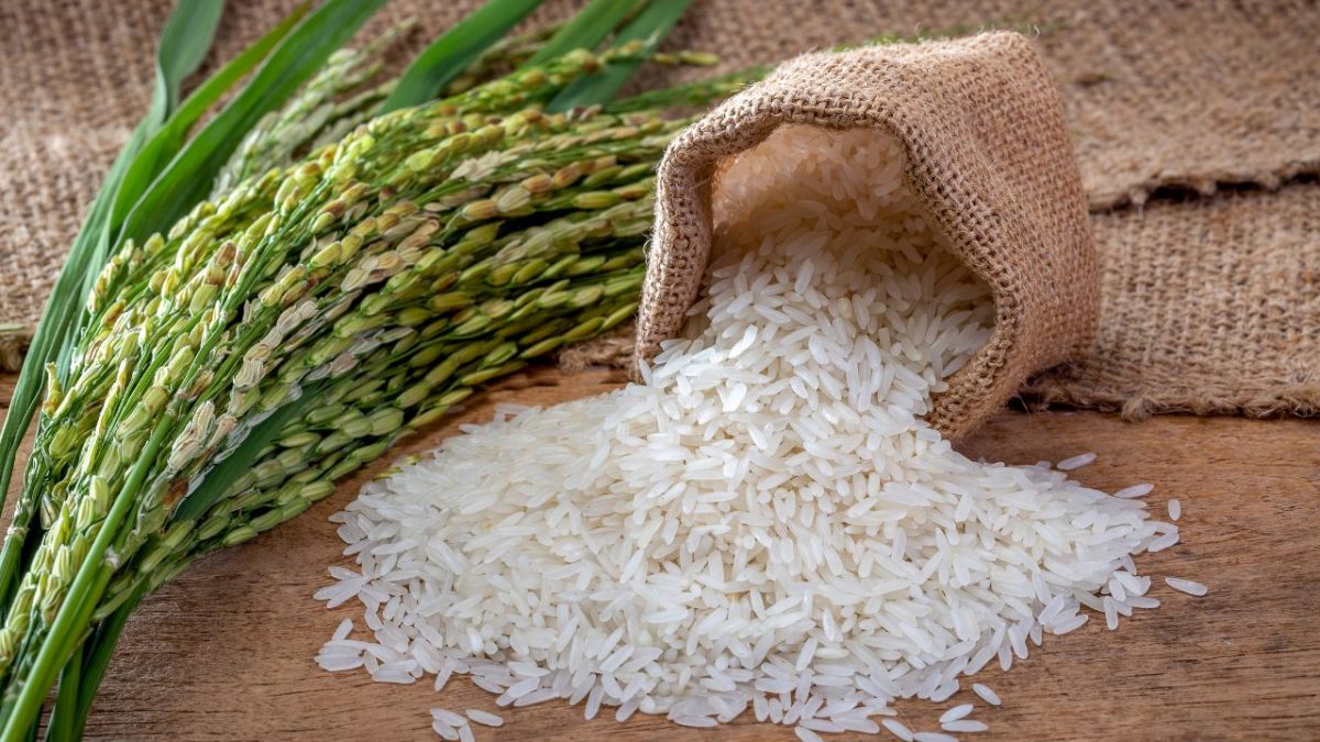 Custo de importação de arroz de Moçambique atinge recorde em 2024, diz relatório