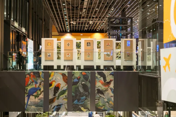 Exposição “O Legado Suíço-Brasileiro na Amazônia: Arte, Ciência e Sustentabilidade” chega a Natal