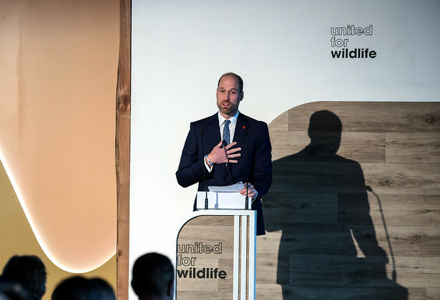 Príncipe William lança série documental com episódio no Brasil sobre trabalho de guardiões da natureza