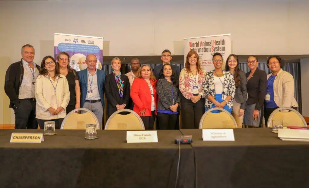 Países do Caribe se capacitam na detecção e controle da saúde animal para proteger a segurança alimentar, em seminário organizado pelo IICA e parceiros