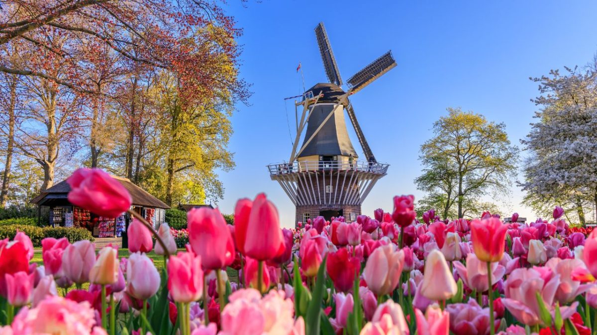Programa Ganhando o Mundo da Ciência abre inscrições para intercâmbio na Holanda
