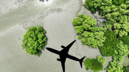 OACI aprova técnica agrícola que beneficia produção de combustíveis sustentáveis no Brasil