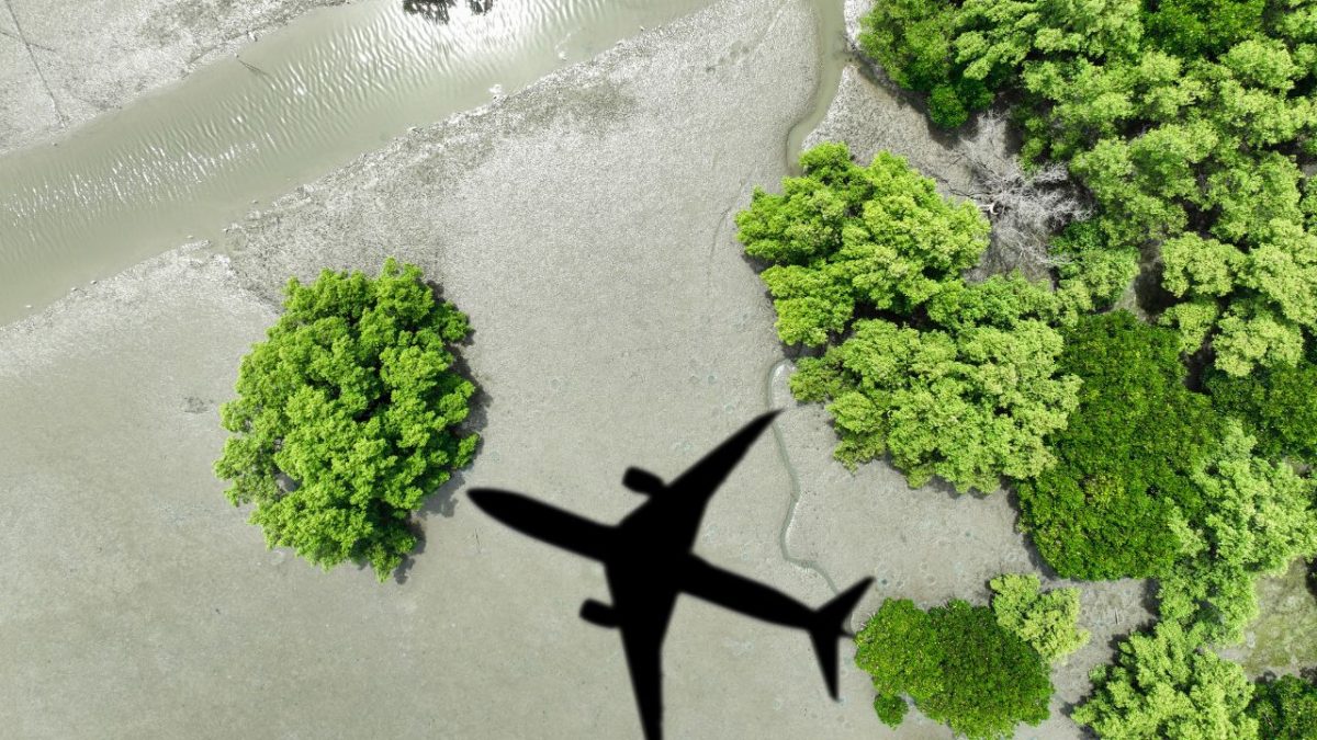 OACI aprova técnica agrícola que beneficia produção de combustíveis sustentáveis no Brasil