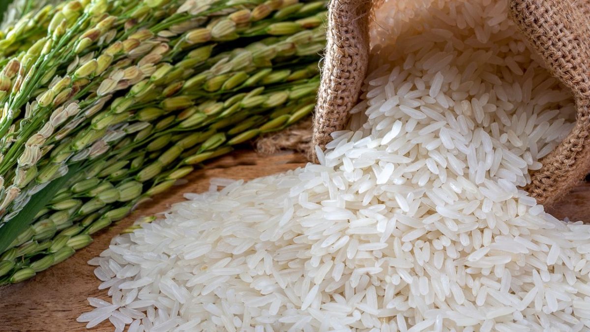 Doação de arroz da República da Coreia fornece um impulso crítico à resposta de emergência do PMA aos refugiados no Quênia