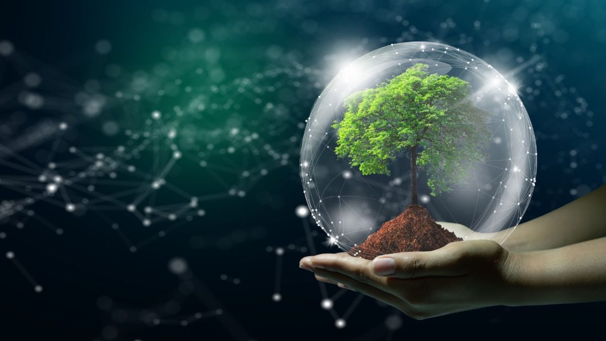 China registra inovação vibrante em tecnologias verdes e de baixo carbono