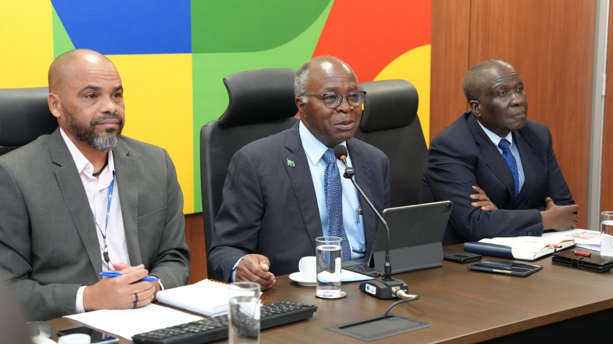 Zâmbia busca parcerias no Brasil para impulsionar agricultura e economia