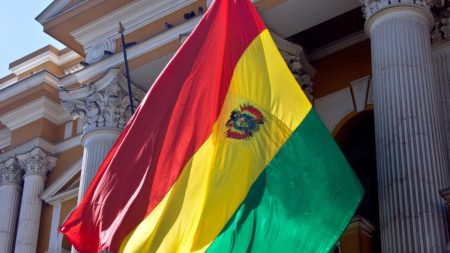 Bolívia receberá 87 observadores internacionais da OEA para as Eleições Gerais em 17 de agosto