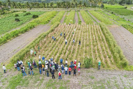 Jornada pelo Clima: Raízes Agroecológicas fortalece produção de comida saudável por famílias do Brasil, Argentina e Bolívia