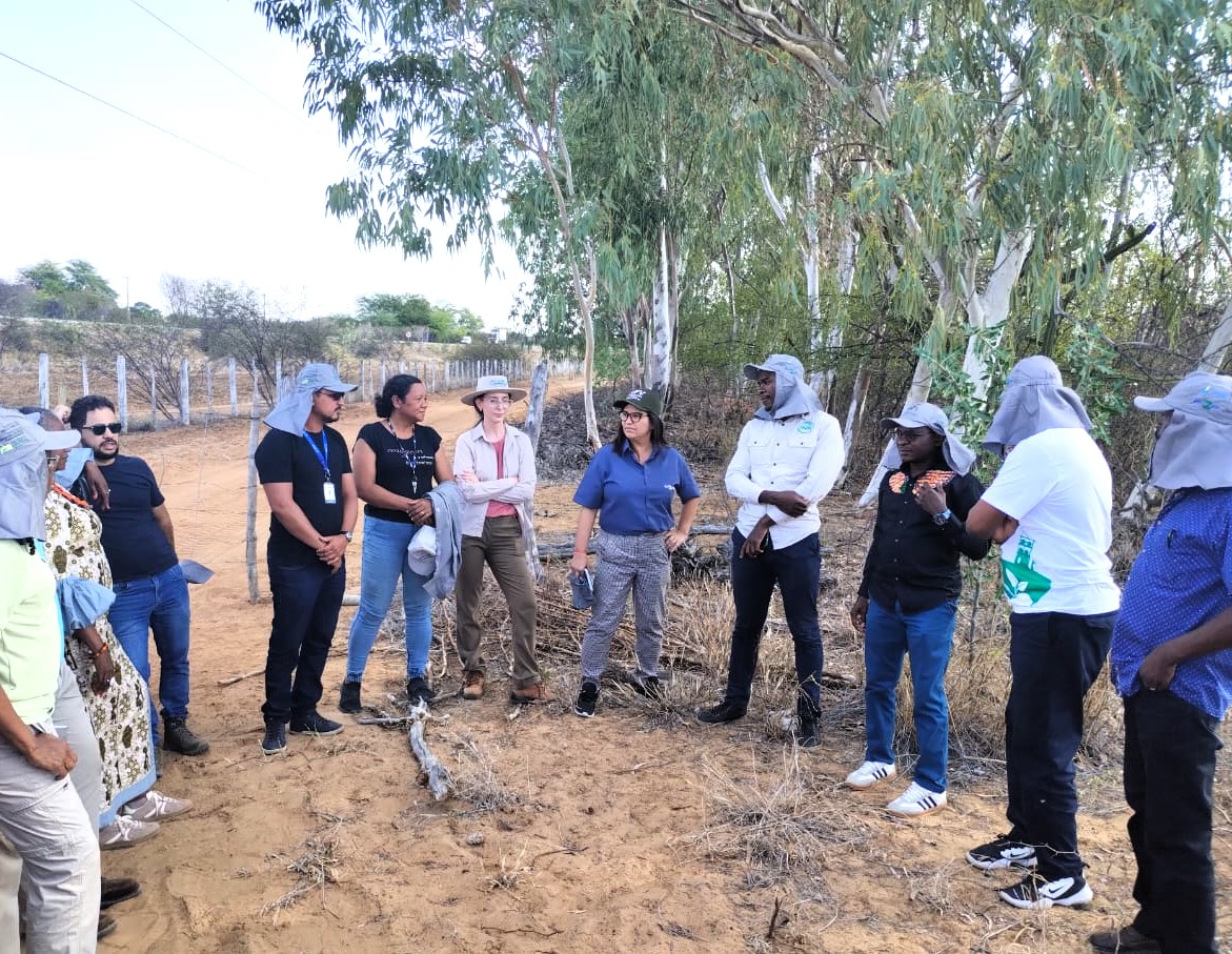 Delegação de Moçambique visita Embrapa Semiárido em intercâmbio técnico