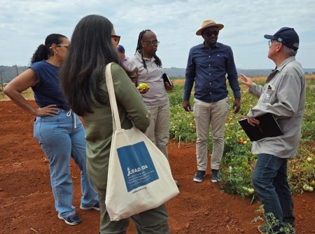 Delegação de Moçambique participa de intercâmbio de dez dias na Embrapa e no interior da Bahia
