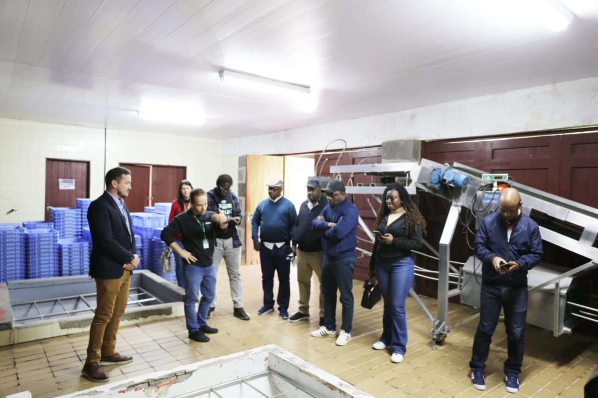Delegação de Moçambique visita Campus Bento Gonçalves