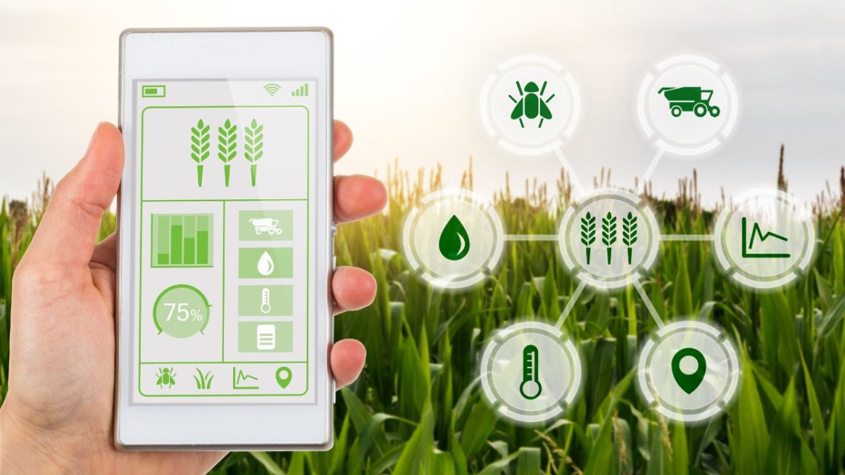 Brasil e Índia lançam MAITRI 2.0 para fortalecer inovação no agro