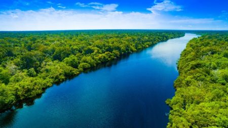 Parlamento Amazônico aprova declaração de apoio à COP30 e pressiona por institucionalização