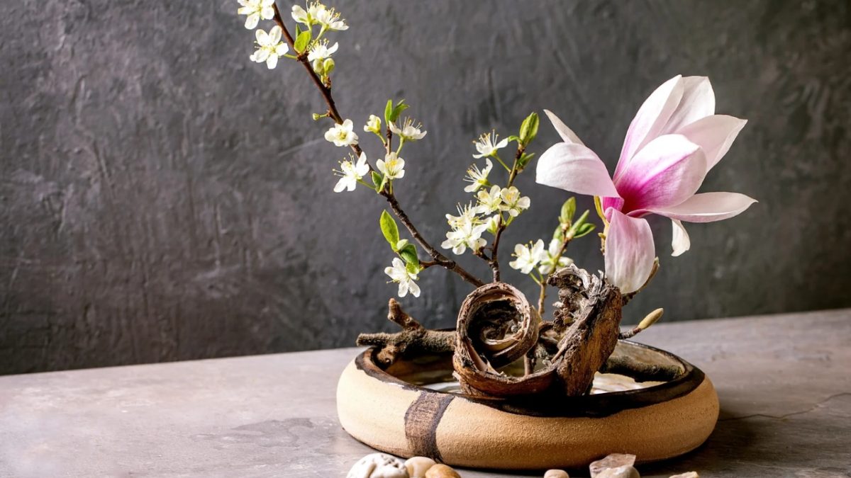Brasília recebe 38ª edição da exposição Ikebana Sogetsu: uma celebração da arte floral japonesa