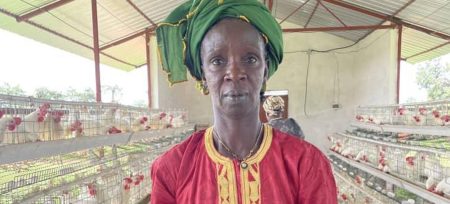 Iniciativa reforça resiliência na região de Gabu, na Guiné-Bissau