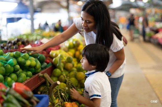 Brasil e FAO impulsionam debate sobre o papel das cidades na transformação dos sistemas alimentares