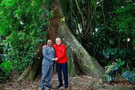 Presidente Lula reforça cooperação climática e bilateral em encontros com líderes de Comores e Finlândia