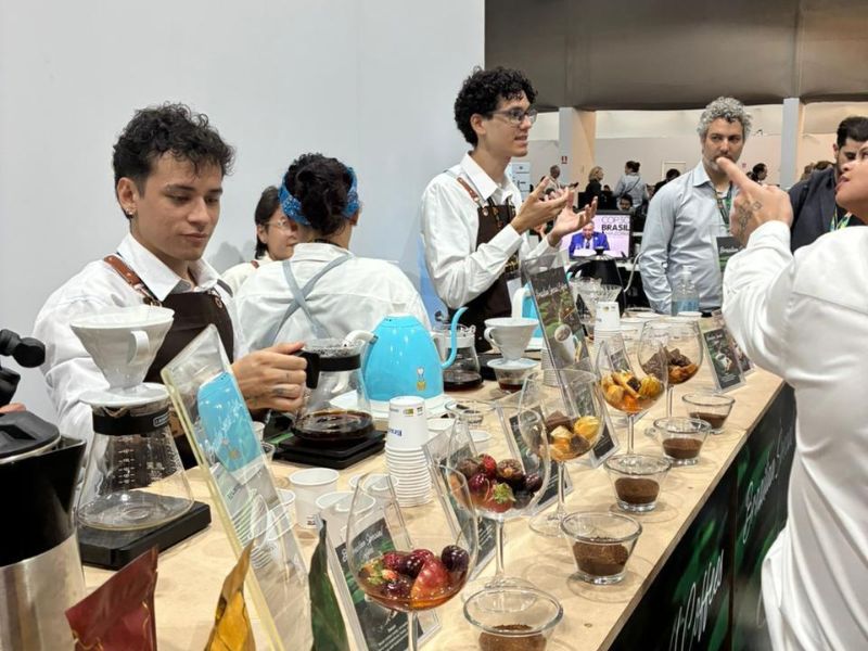 ApexBrasil realiza ações de promoção e visibilidade internacional de cafés especiais compatíveis com a floresta