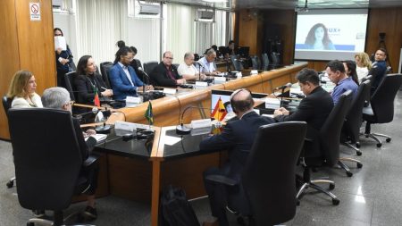 Cooperação entre Brasil e União Européia discute segurança no ambiente digital