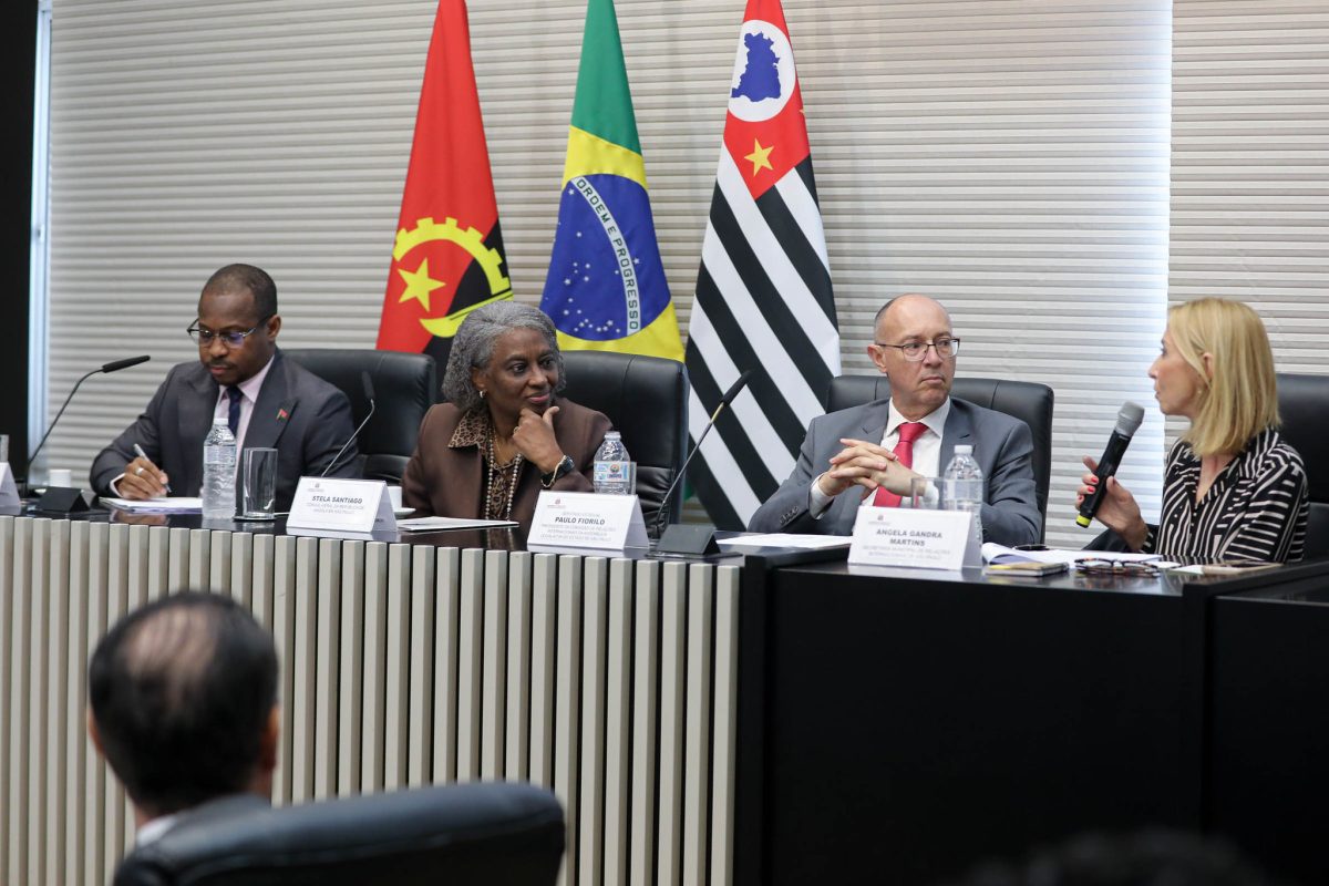 São Paulo reforça parceria com Angola em reunião da Comissão de Relações Internacionais