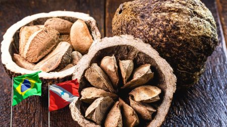 Culinária paraense: o sabor autêntico da Amazônia