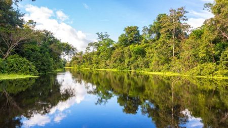 BID emite seu primeiro título da Amazônia no valor de US$ 100 milhões para financiar o desenvolvimento sustentável