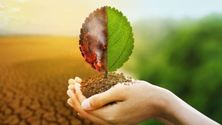 Dinamarca anuncia novos financiamentos para ação climática na COP30 e deve mobilizar mais de US$ 4,1 bilhões