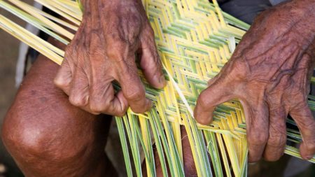 Suriname: diversidade que inspira, histórias que ecoam