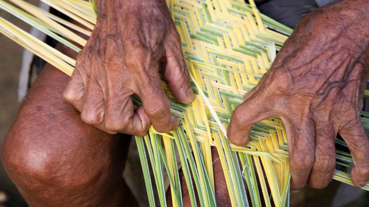 Suriname: diversidade que inspira, histórias que ecoam
