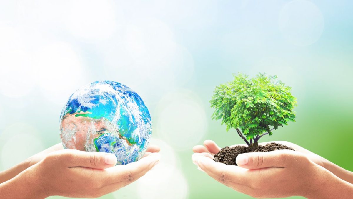 Brasil formaliza adesão ao Tratado do Alto-Mar e reforça protagonismo na agenda ambiental global