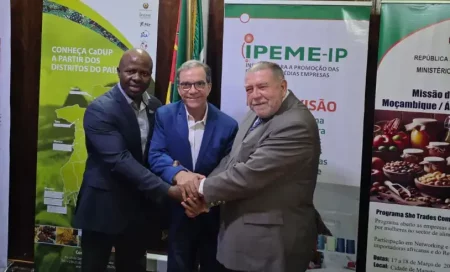 Sebrae reforça ações de cooperação internacional em missão a Moçambique