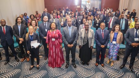 Normas e Regulamentos Redefinem a Competitividade do Agronegócio na África