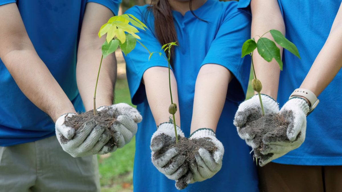 Diplomacia ambiental ganha centralidade na agenda internacional e impulsiona avanços globais