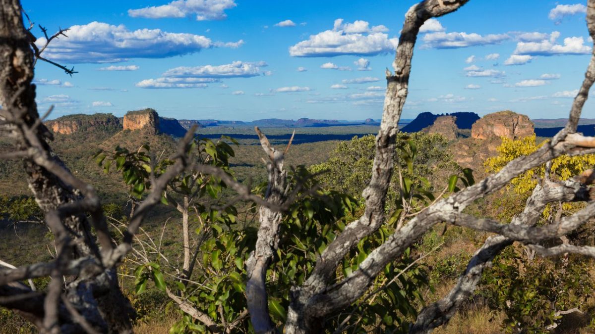 Programa País 2025 a 2029 fortalece estratégia nacional junto a Fundo Verde do Clima