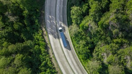 BNDES abre seleção de propostas para estudo sobre Certificação de Créditos de Carbono no Brasil
