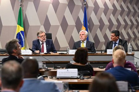 Grupo Parlamentar Brasil-Ucrânia debate os quatro anos da invasão russa
