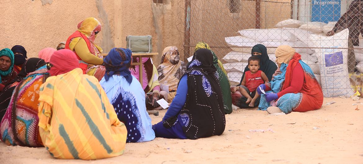 Brasil doa US$ 120 mil ao WFP para ajudar saharauis abrigados na Argélia