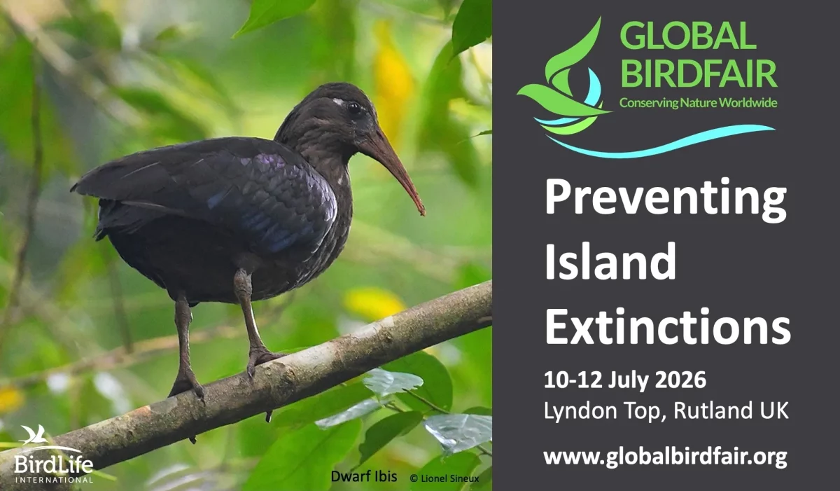 Embratur abre inscrições para coexpositores na Global Birdfair 2026