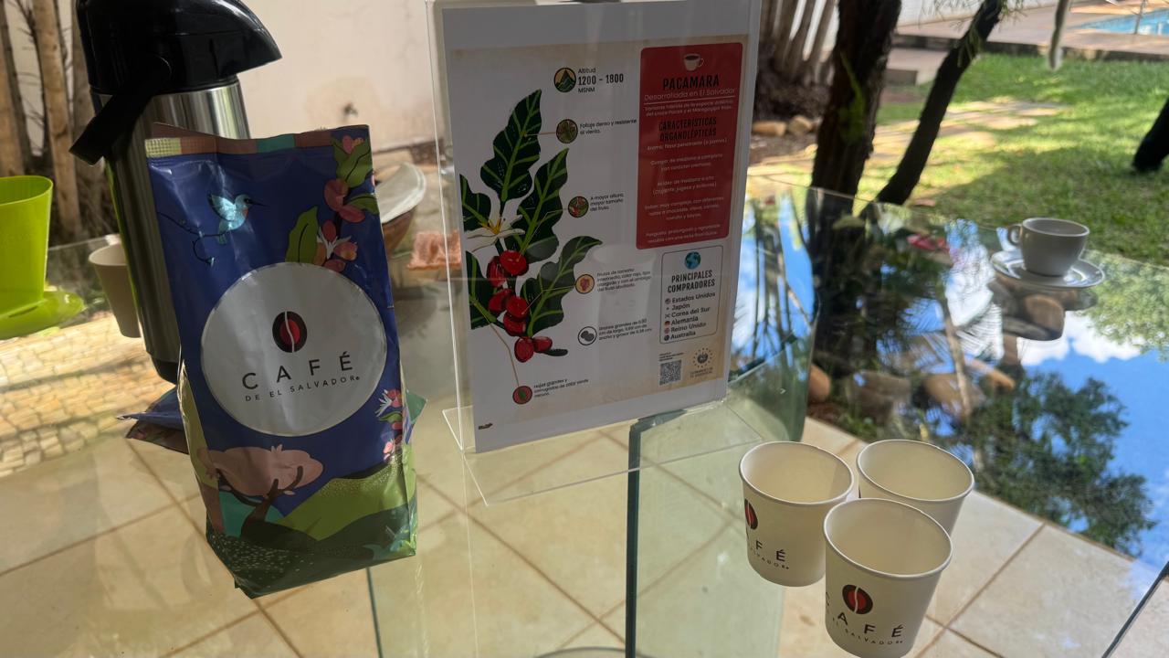 Em Brasília, El Salvador promove café Pacamara como símbolo de identidade e aproximação internacional