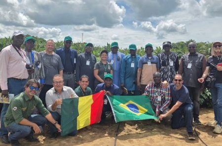Brasil recebe especialistas do Mali em missão para intercâmbio de experiências na cadeia do algodão