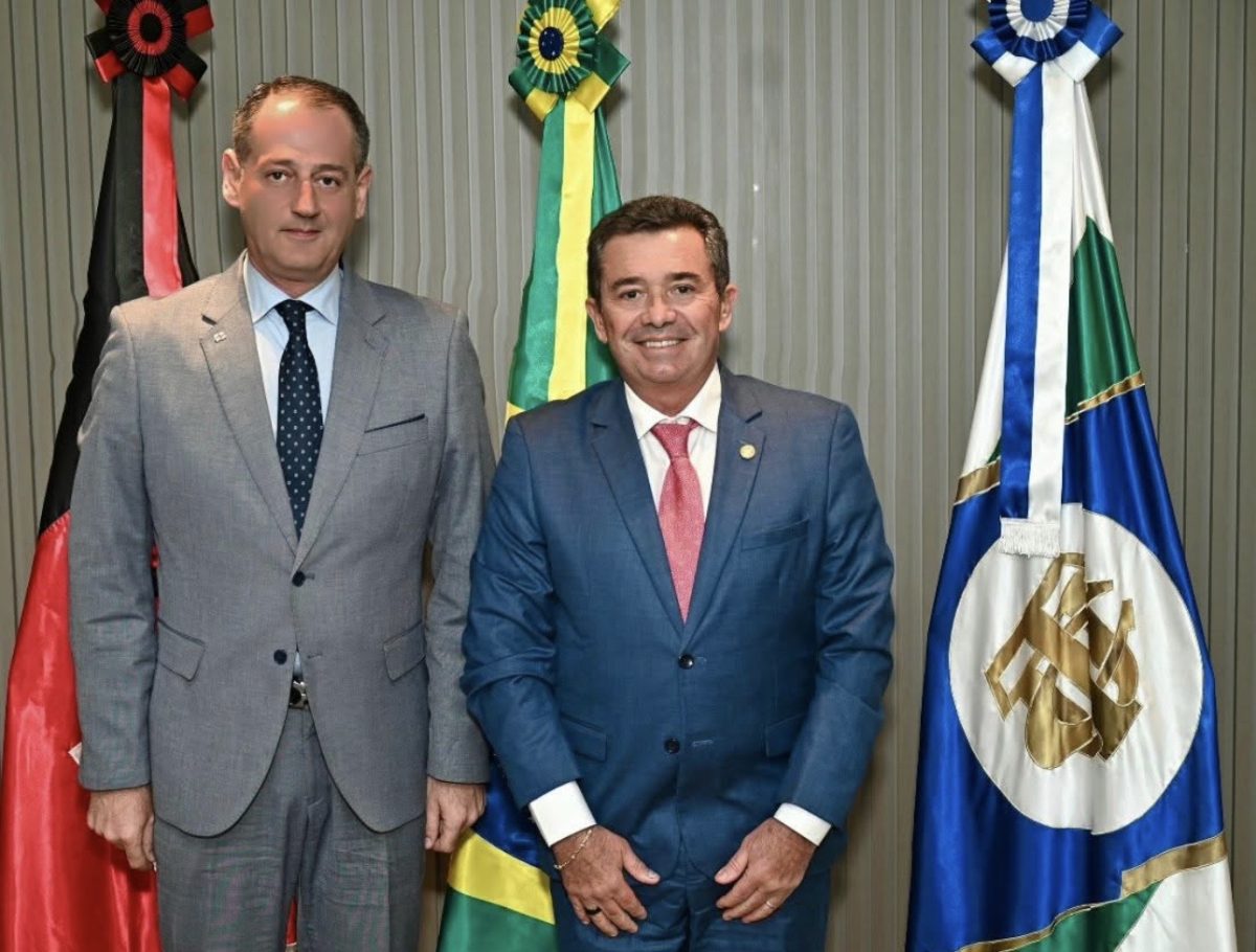 Brasil e Geórgia discutem cooperação institucional em reunião no TCU