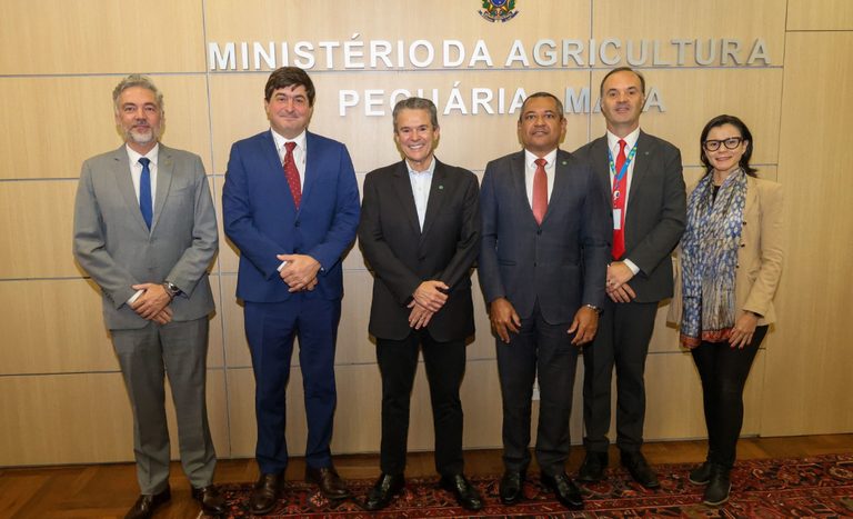 Mapa e IICA aprofundam diálogo sobre inovação e cooperação no setor agropecuário