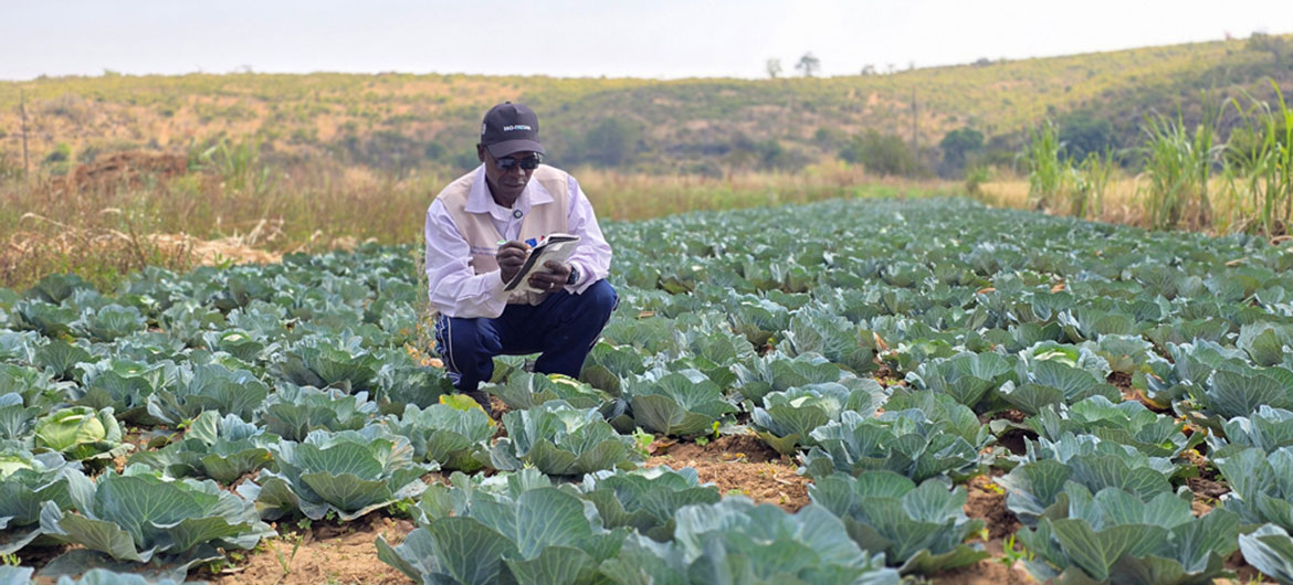 Construção de barragem apoia agricultores e promove resiliência em Angola