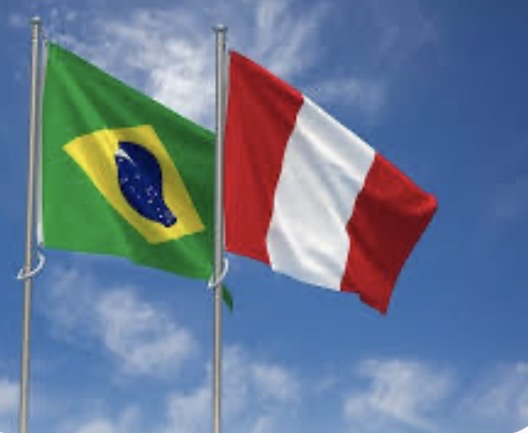 Brasil e Peru definem requisitos para envio de rinocerontes-indianos em programa de conservação