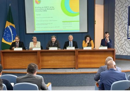 Armênia apresenta preparativos para a COP17 em sessão informativa no Instituto Rio Branco