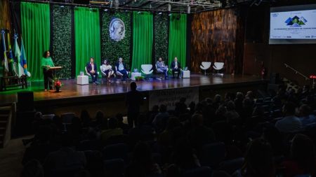 Brasil tem capacidade de se destacar no mercado global de terras raras até 2040, aponta estudo