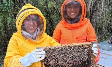Embaixadora Mateja Kracun visita projeto de apicultura sustentável apoiado pela Eslovênia na Colômbia
