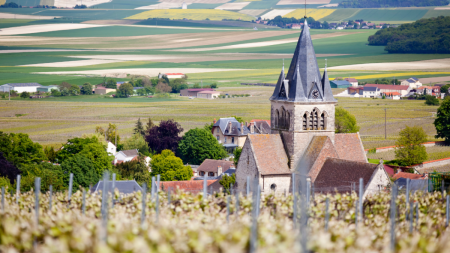 Champagne se destaca como patrimônio mundial da França e símbolo de tradição e cultura