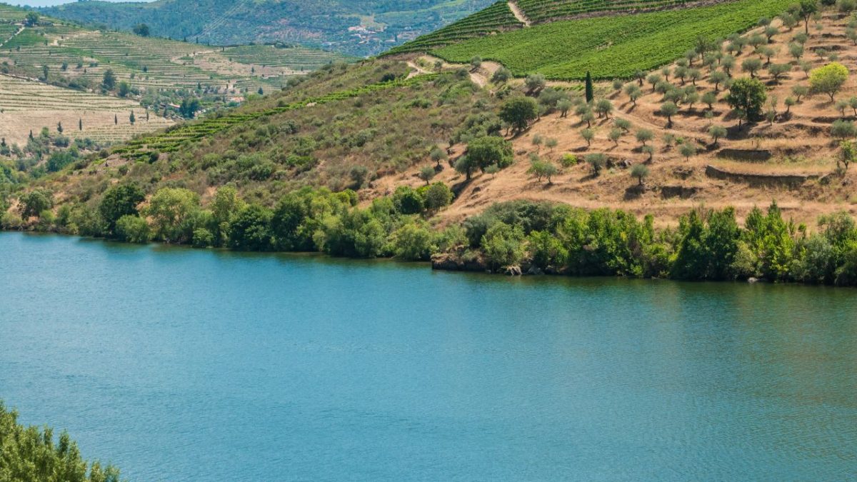Alto Douro Vinhateiro: onde a história de Portugal corre entre vinhas e o rio Douro